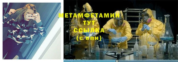прущие грибы Сатка