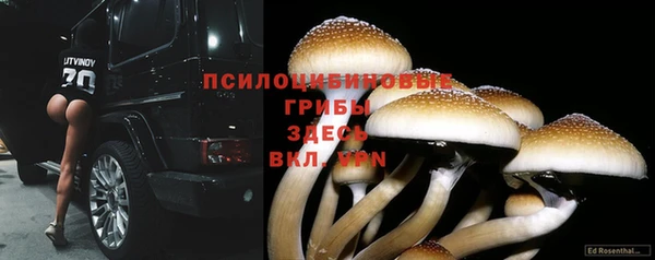 хмурый Ростов