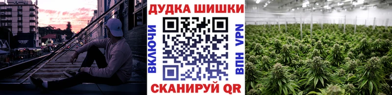МАРИХУАНА семена  Купить закладки  Луга 